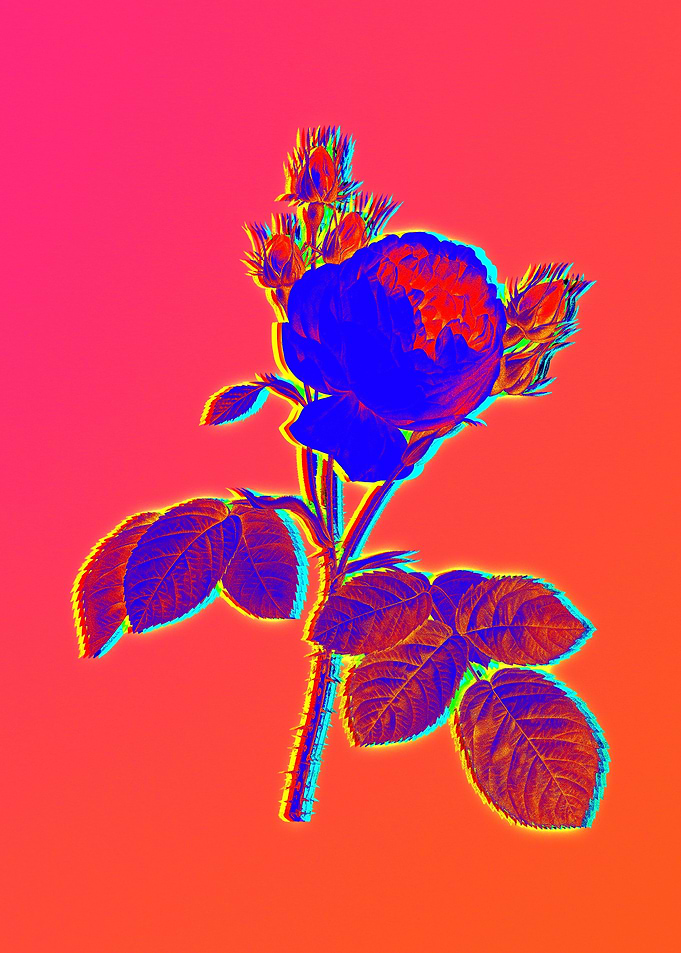 Neon Flower Illustration