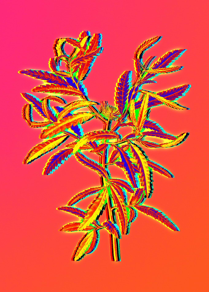 Neon Flowers Illustration