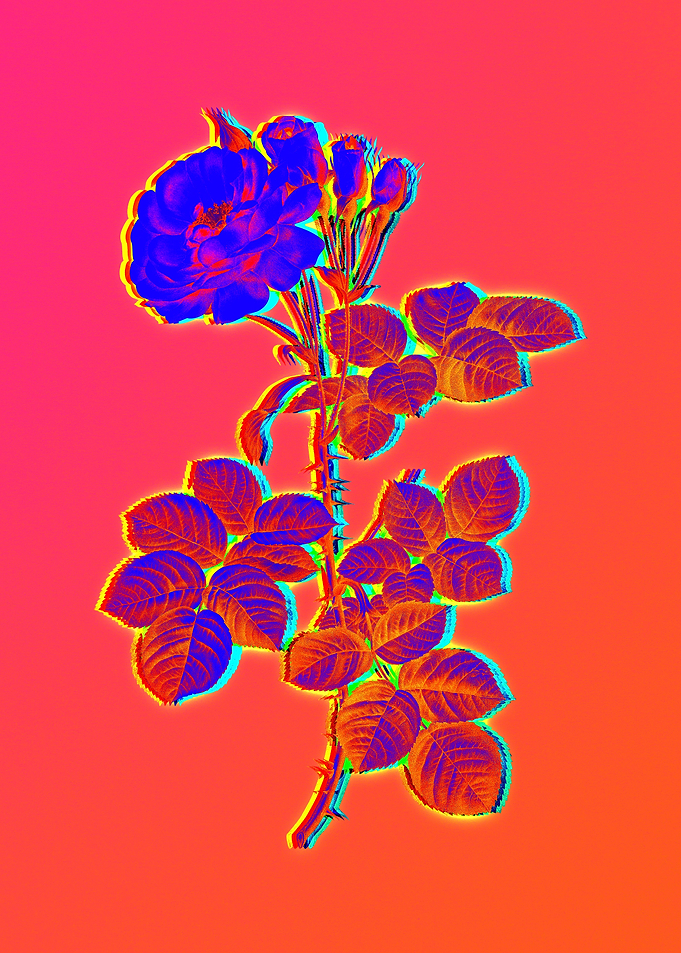Neon Floral Illustration