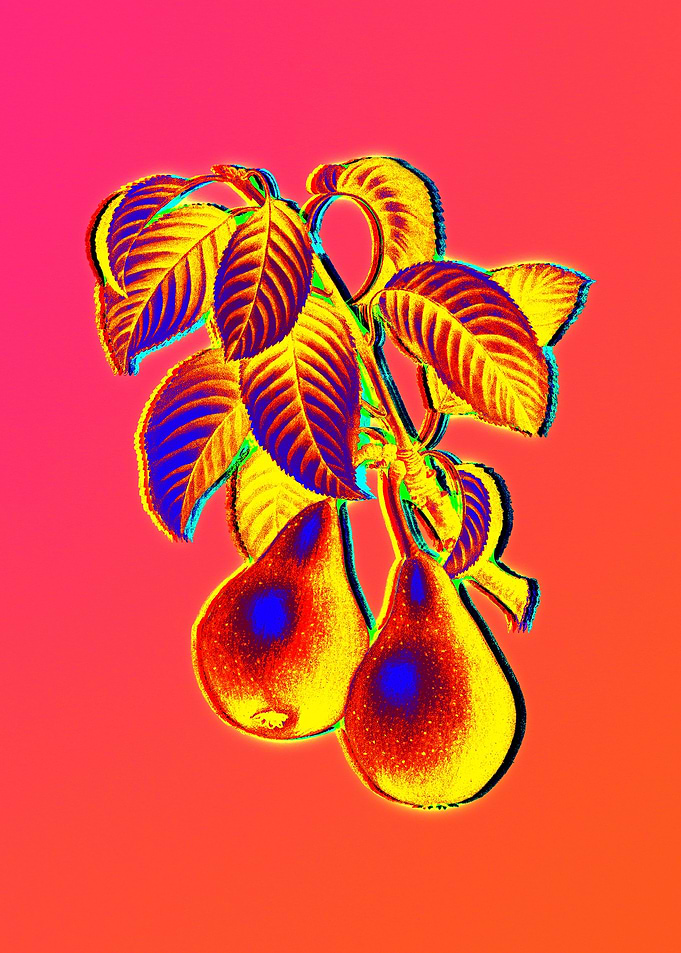 Neon Floral Illustration