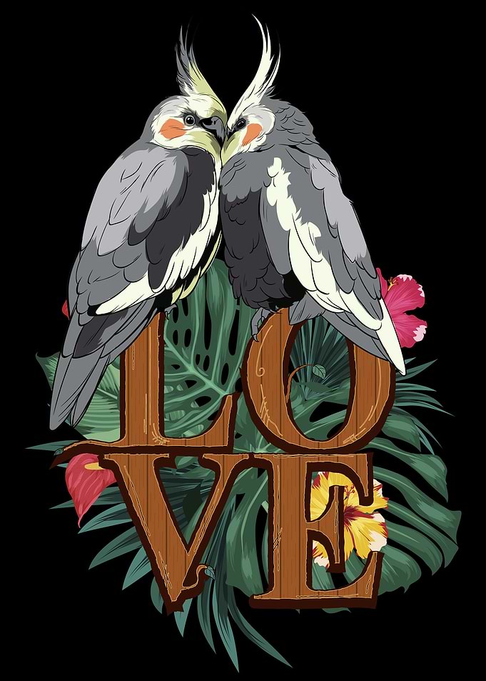 Cockatiel Bird