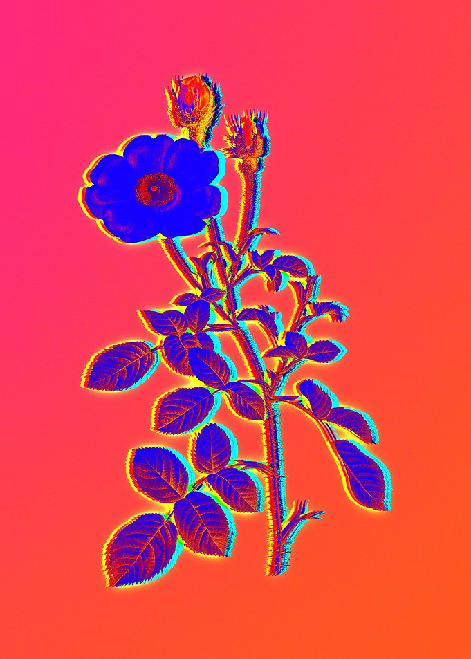 Pink Neon Rose Painting