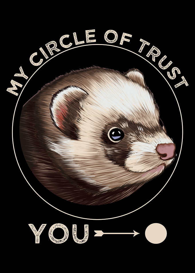 Ferret Animal