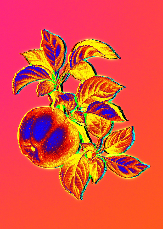 Neon Floral Illustration