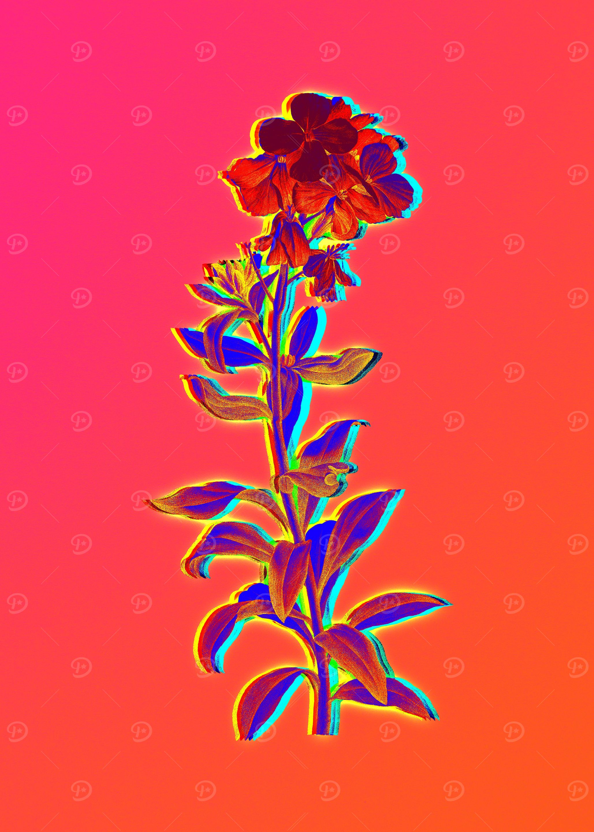 Hot Flower Illustration