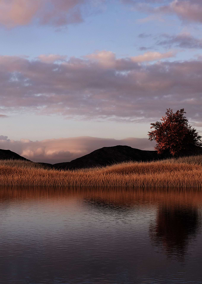 Grassland
