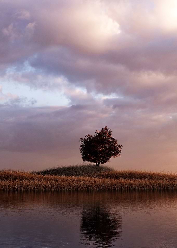 Grassland