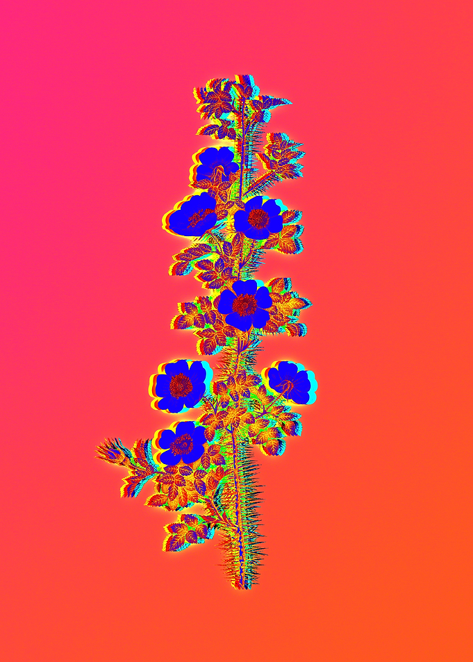 Neon Flower Artwork