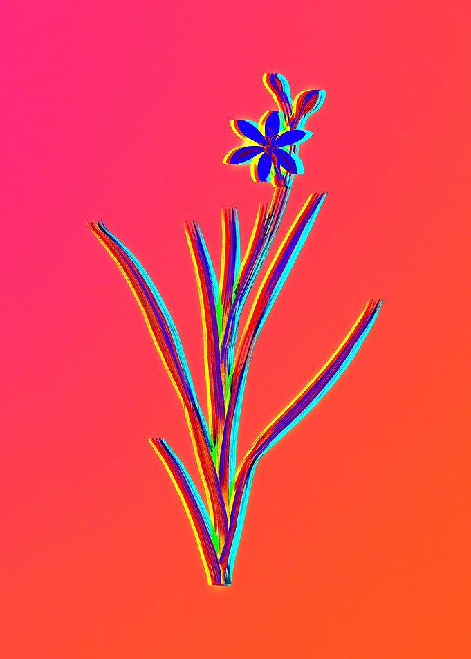 Neon Florals Illustration