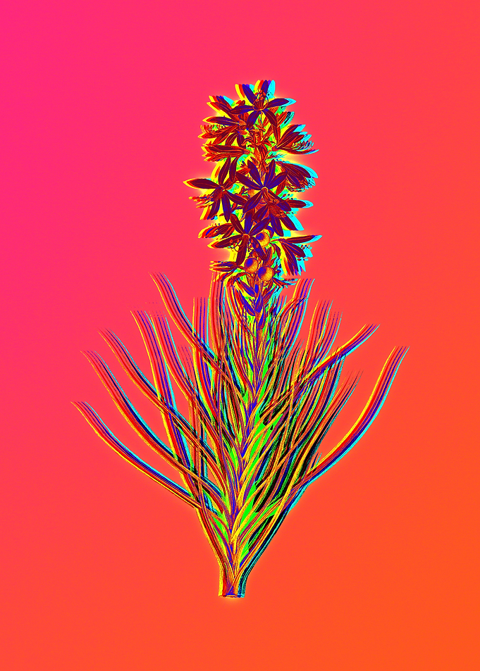 Neon Flowers Illustration