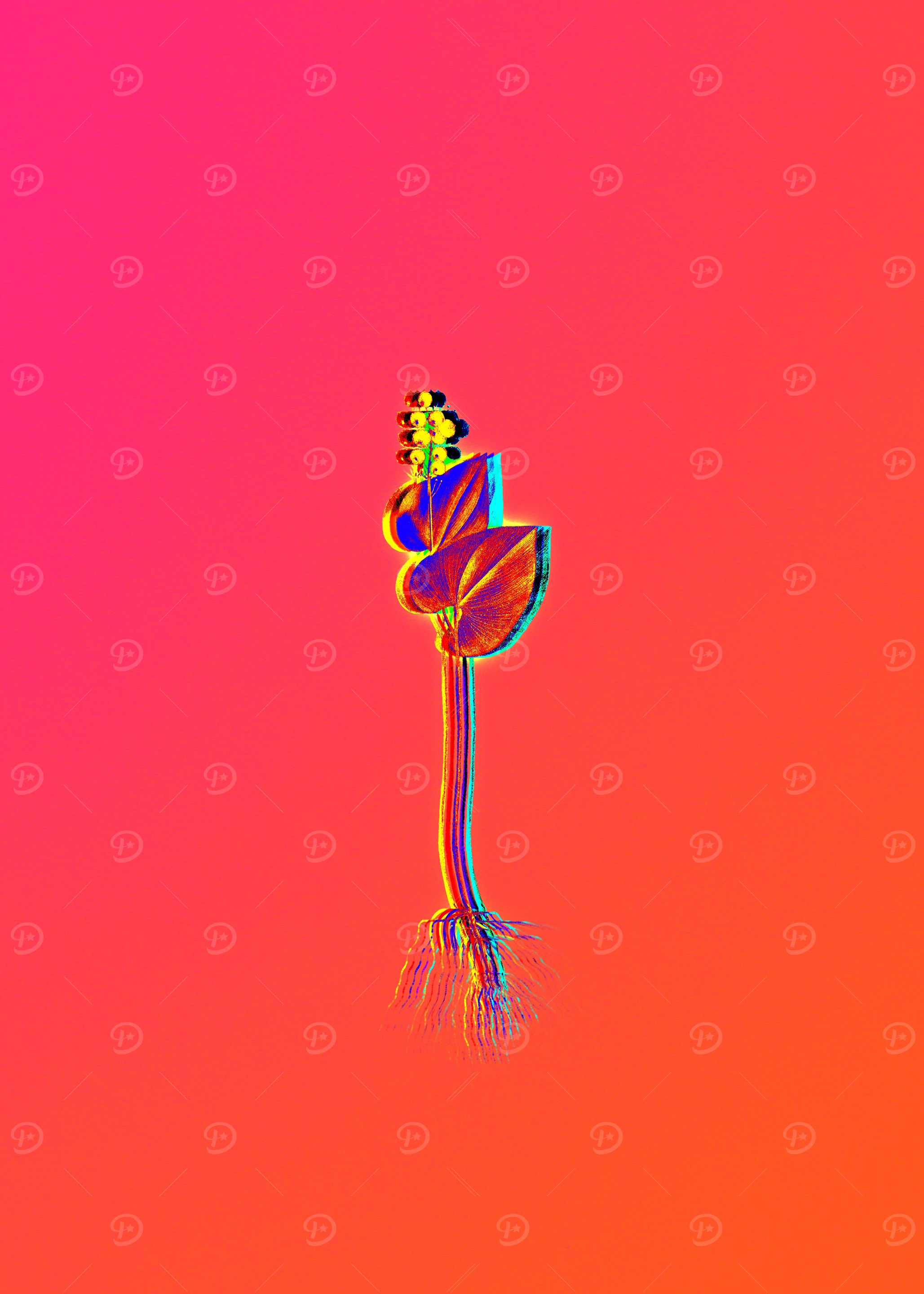 Hot Neon Pink Flowers
