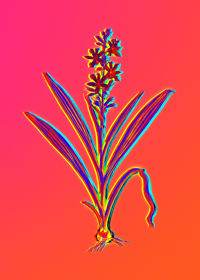 Neon Flower Illustration