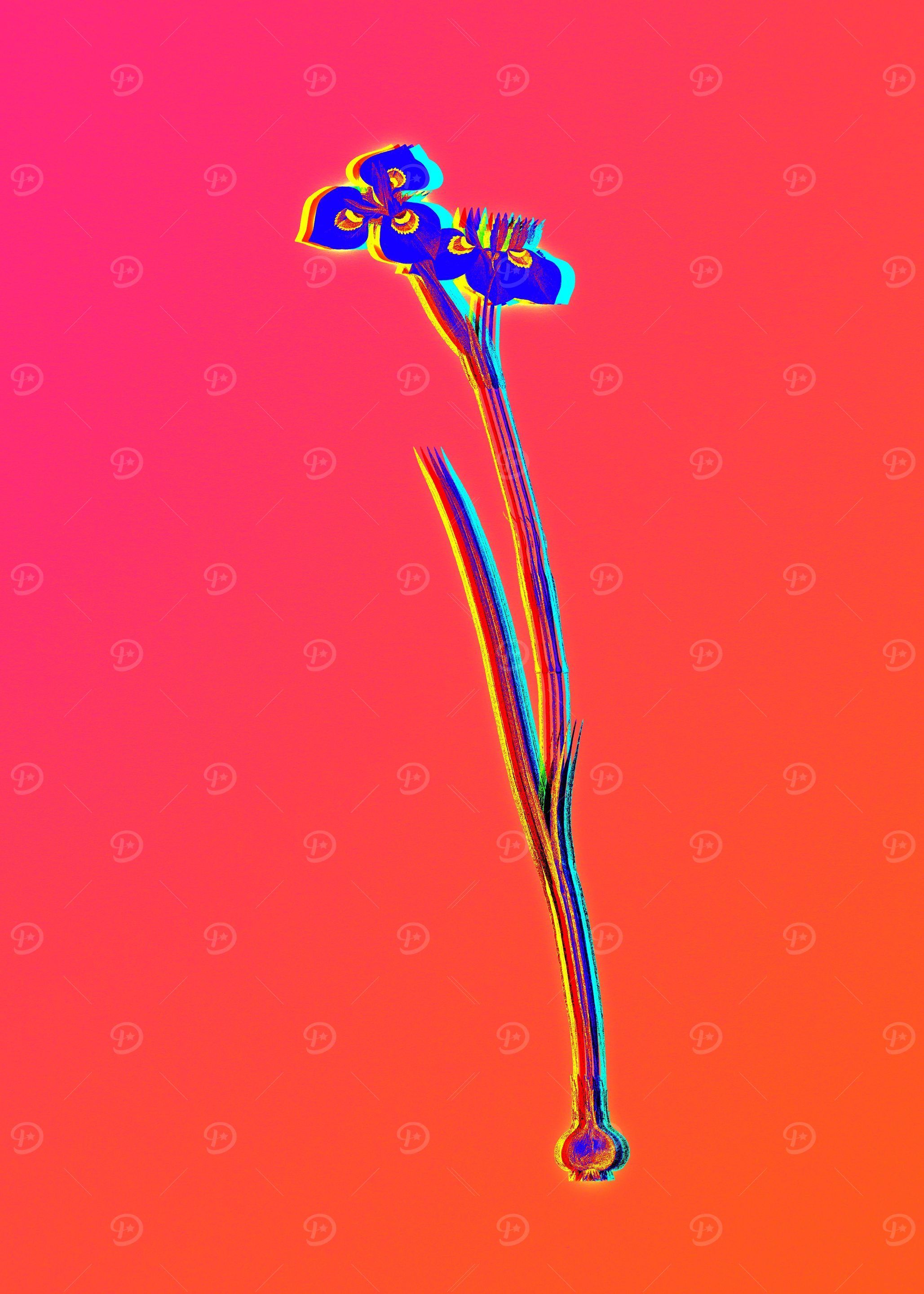 Neon Flora Illustration
