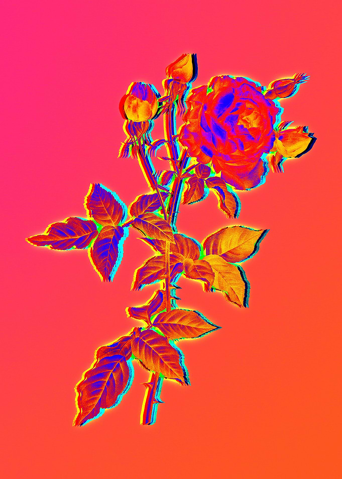 Neon Flowers Illustration