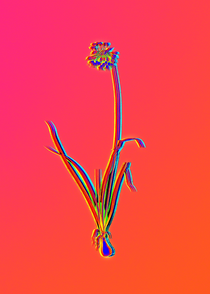 Neon Flower Illustration