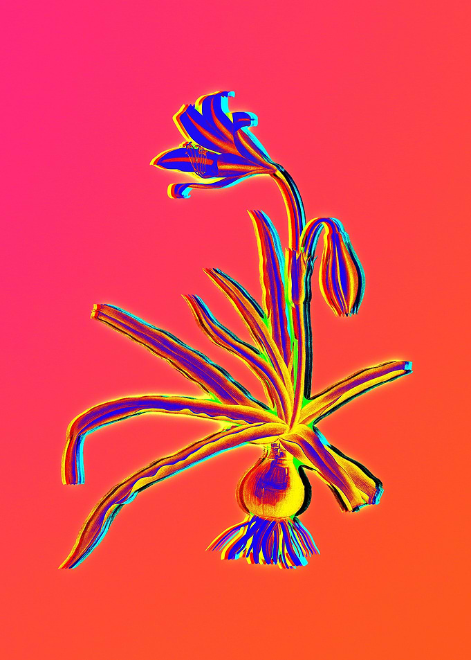 Neon Flower Illustration