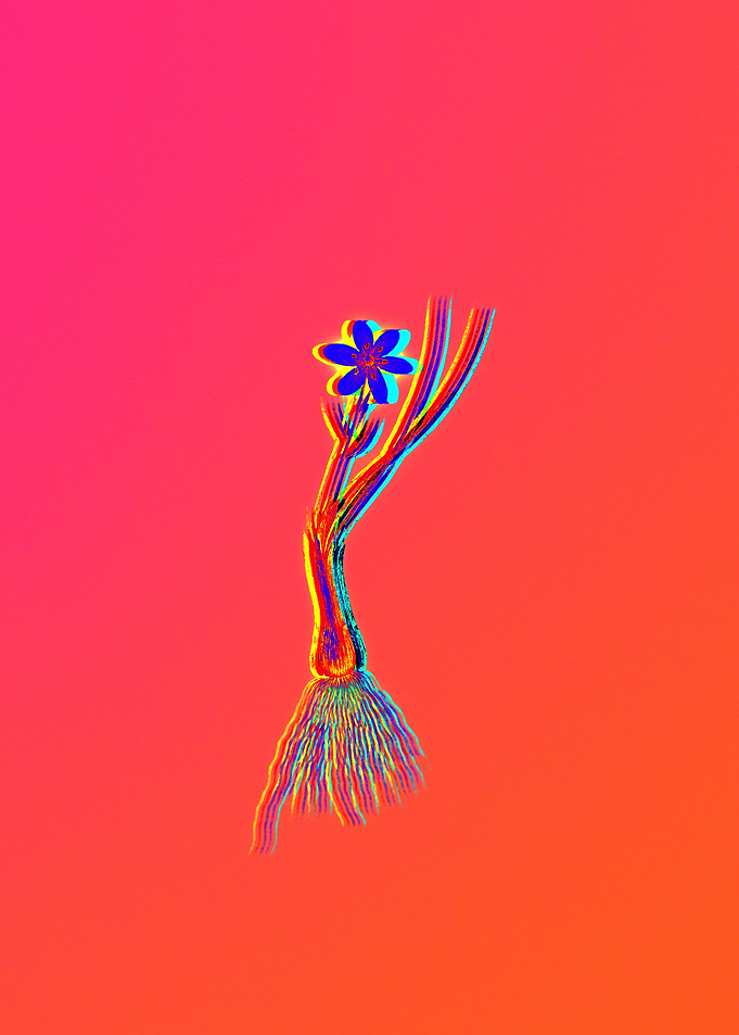 Neon Flower Illustration