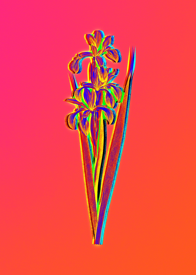 Neon Florals Illustration