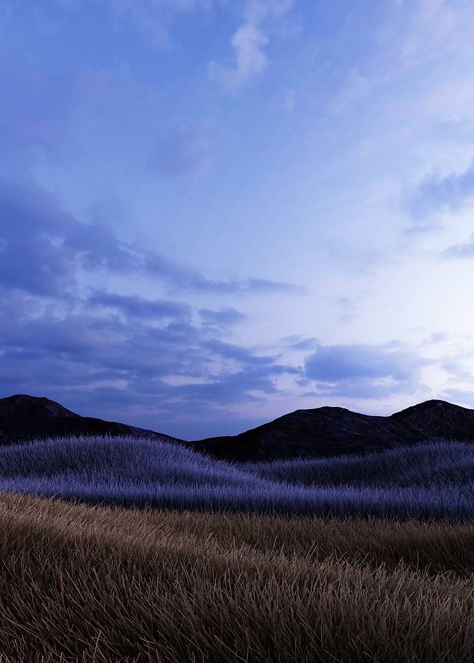 Grassland