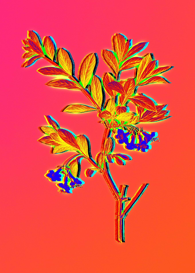 Neon Flower Illustration