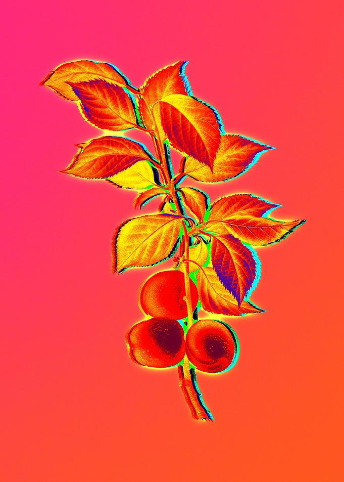 Neon Floral Illustration