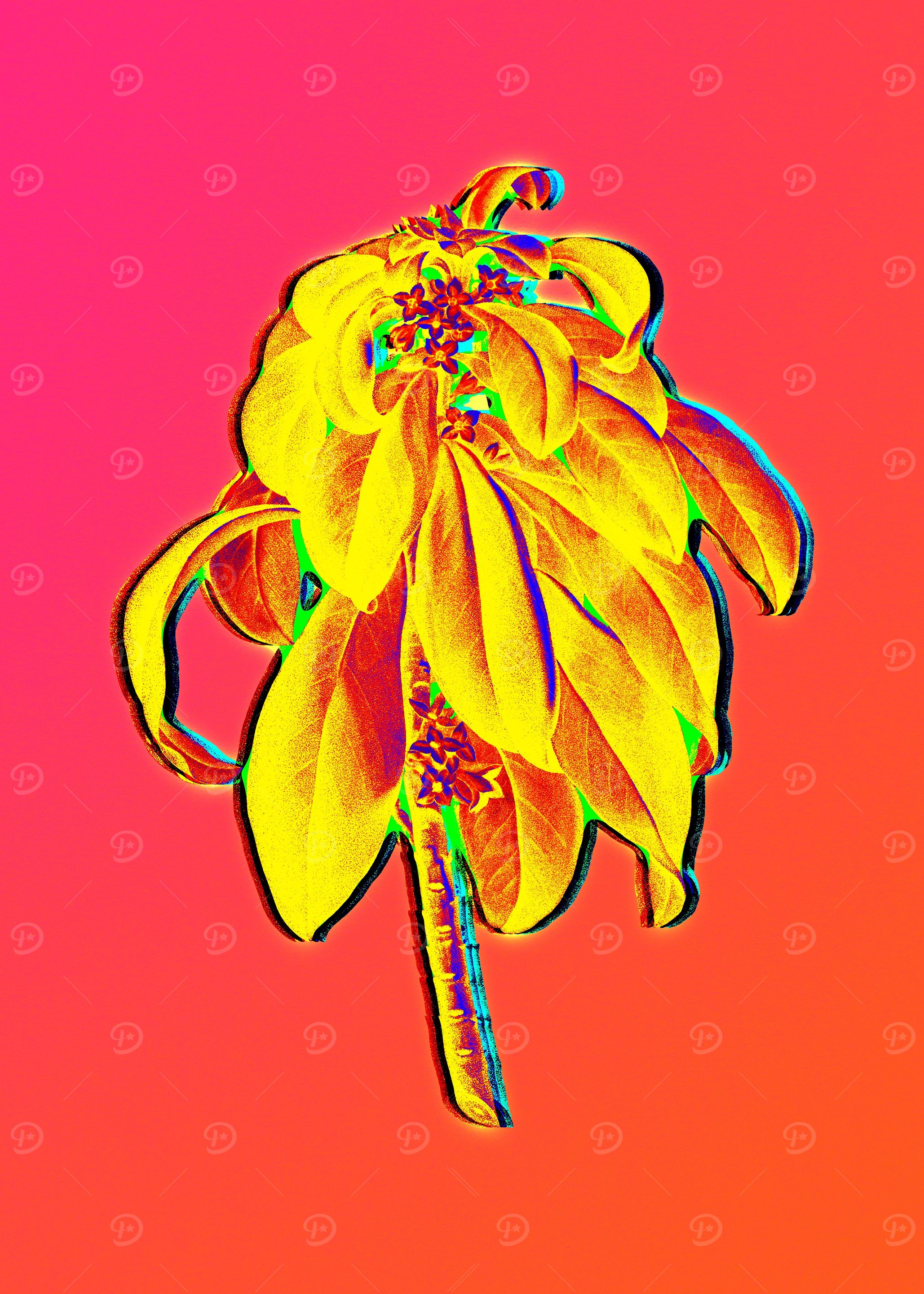 Neon Botanical Drawings