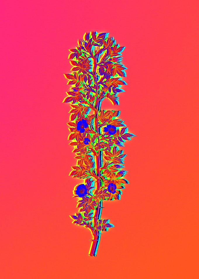 Neon Floral Illustration