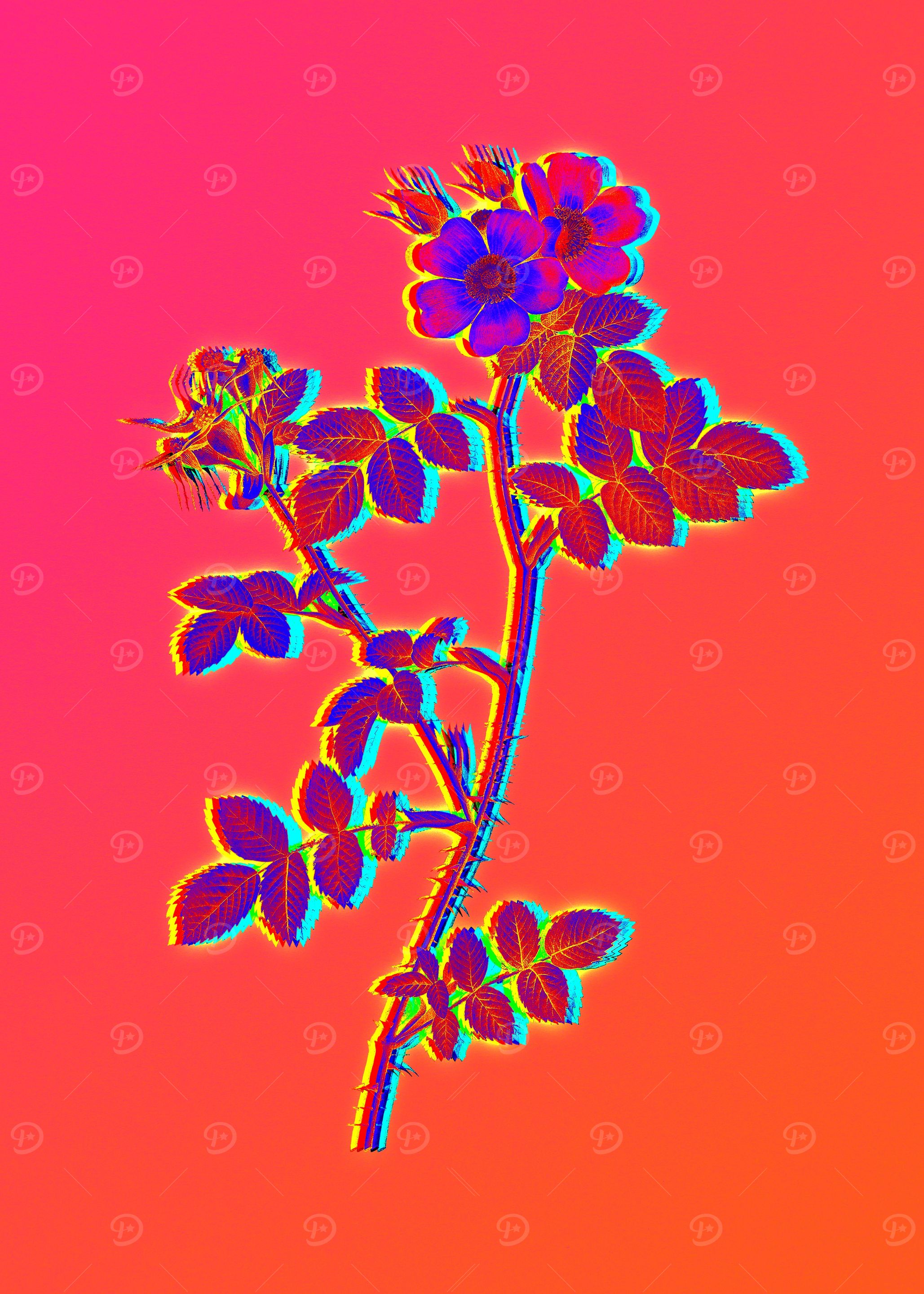 Pink Neon Roses