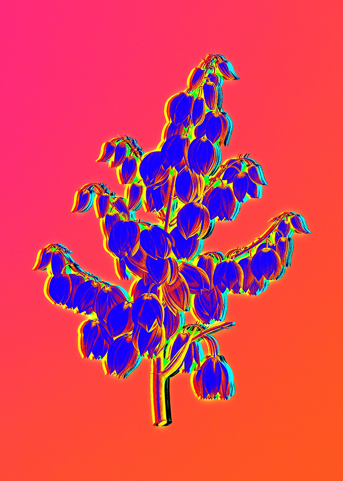 Neon Flowers Illustration