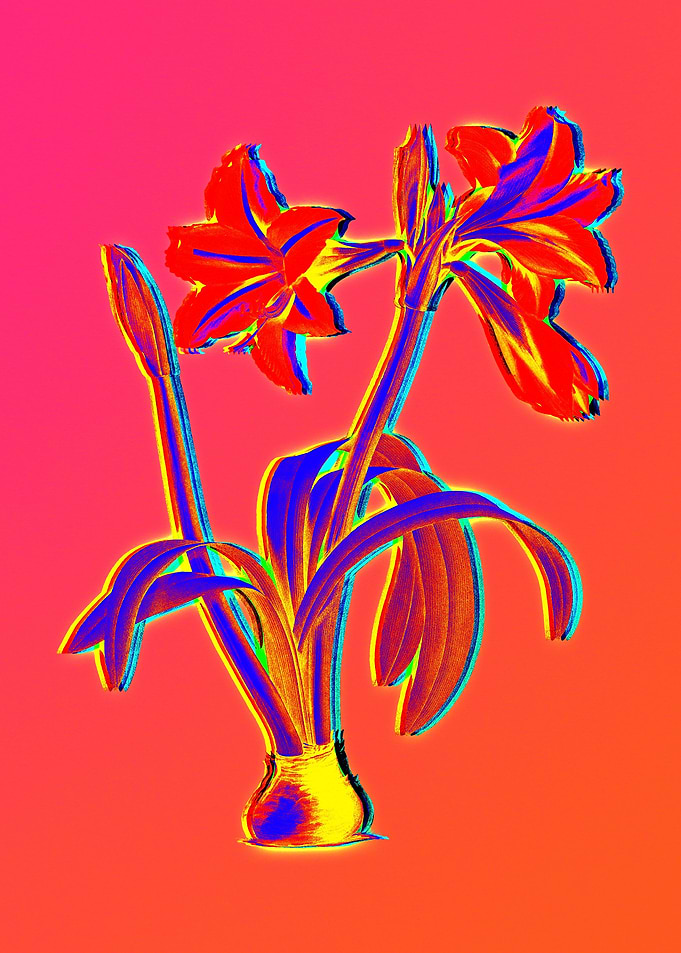 Neon Botanicals Drawing