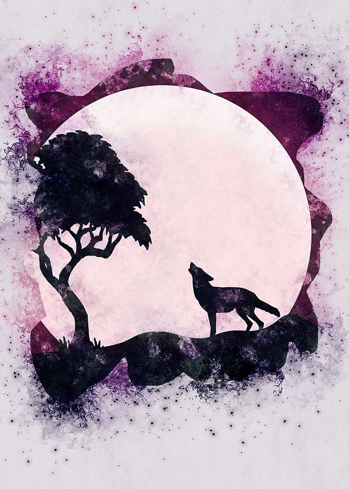 wolf fight
