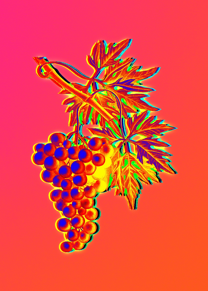 Yellow Flower Red Flower