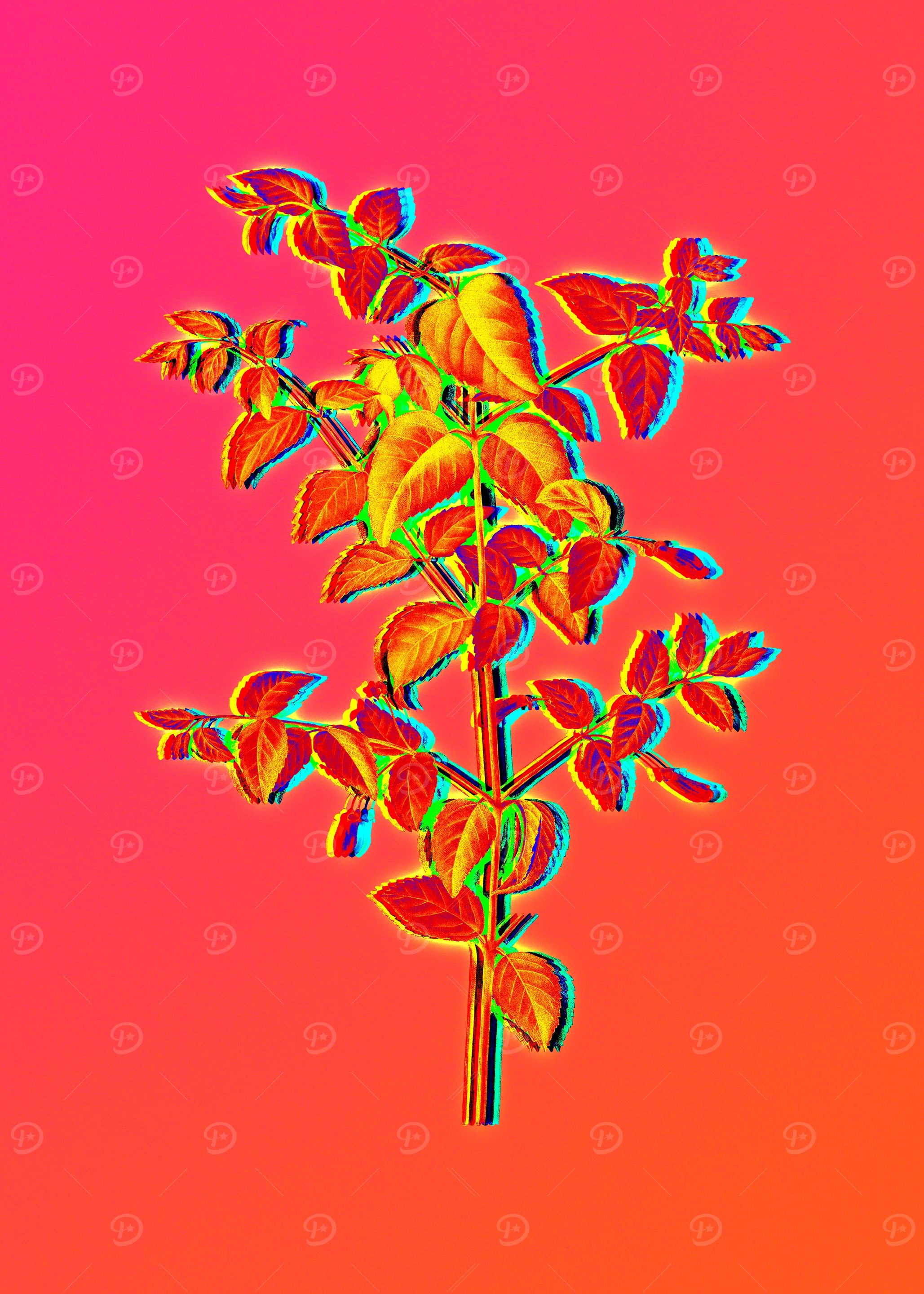 Neon Floral Illustration