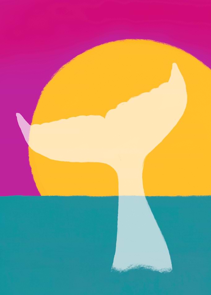 Whale disappearing