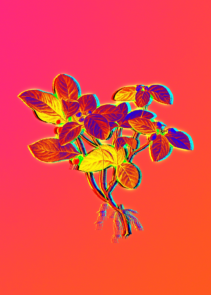 Neon Floral Illustration