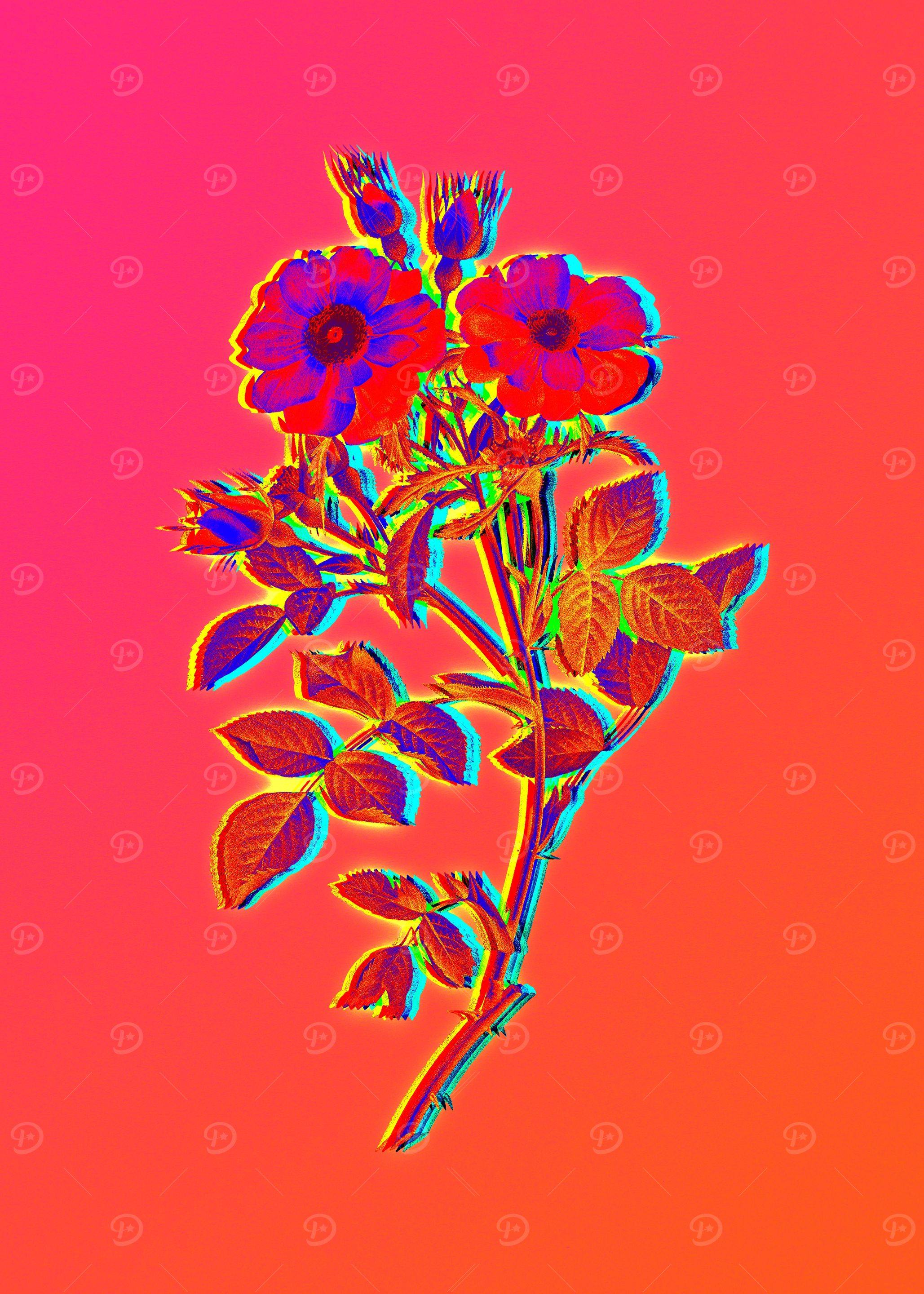 Pink Neon Roses