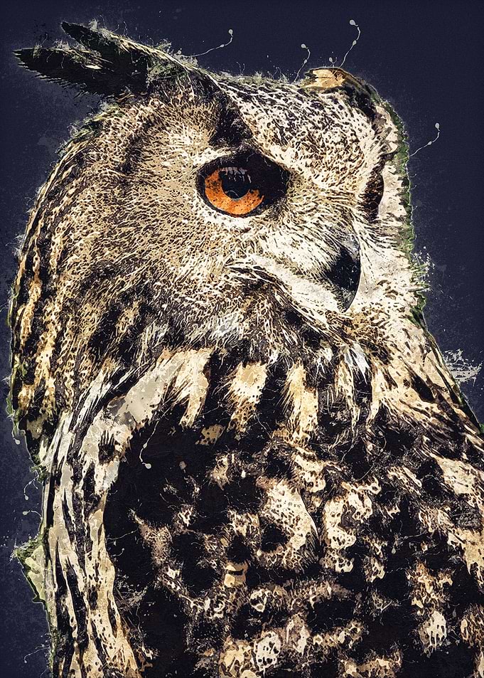 Dark Owl