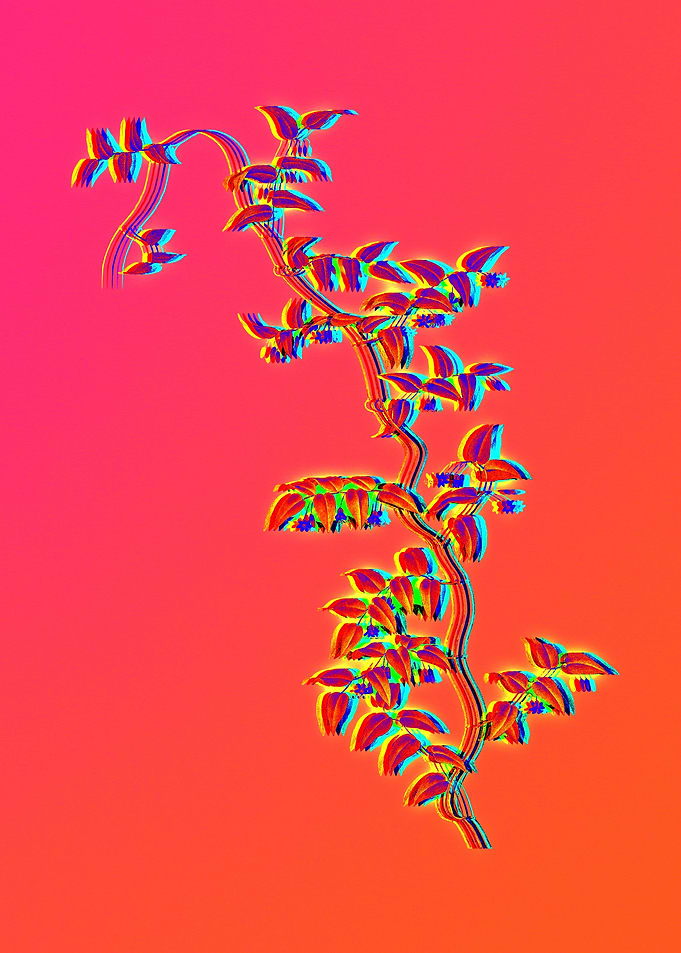Neon Botanicals Drawing