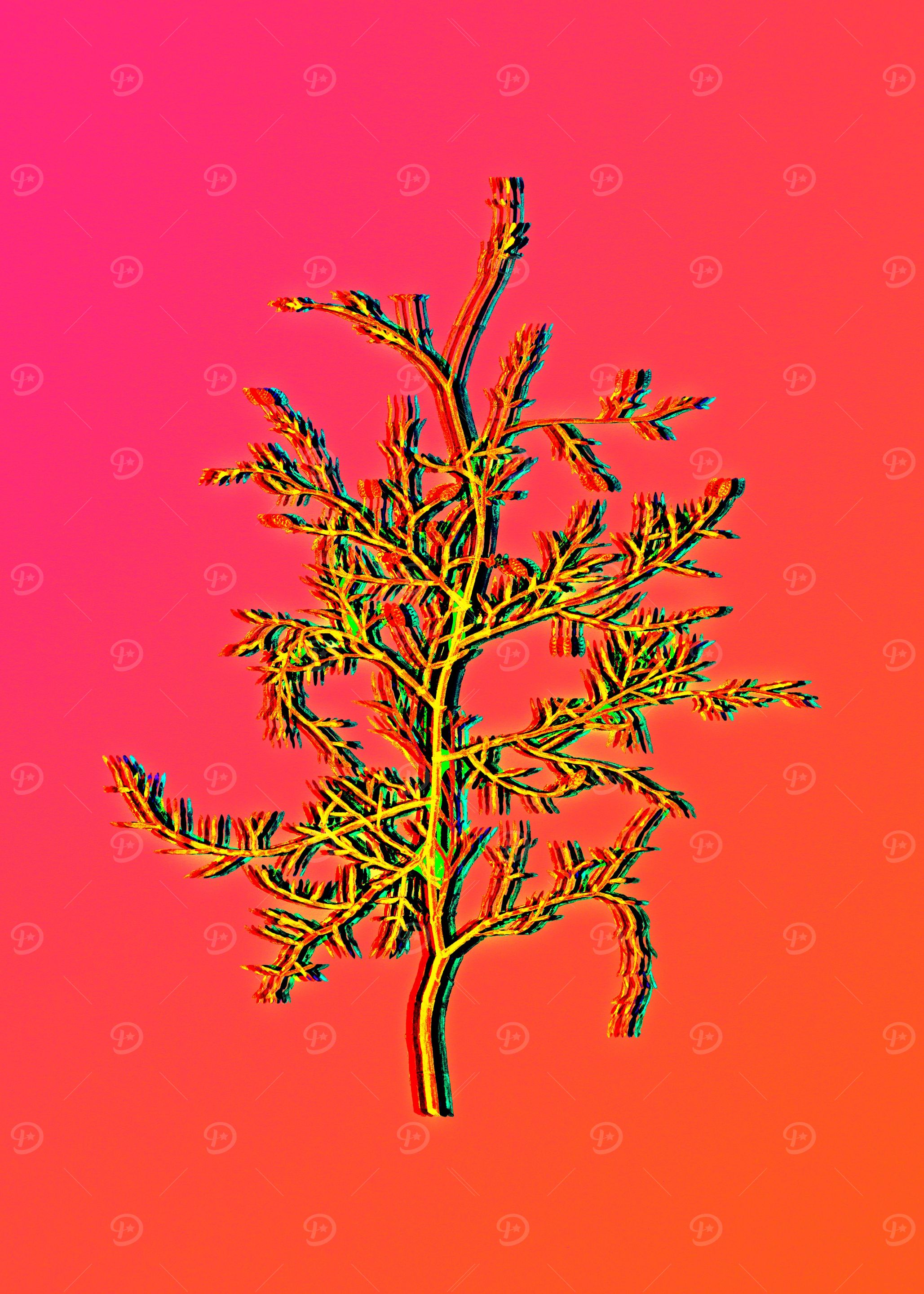 Neon Botanical Drawings