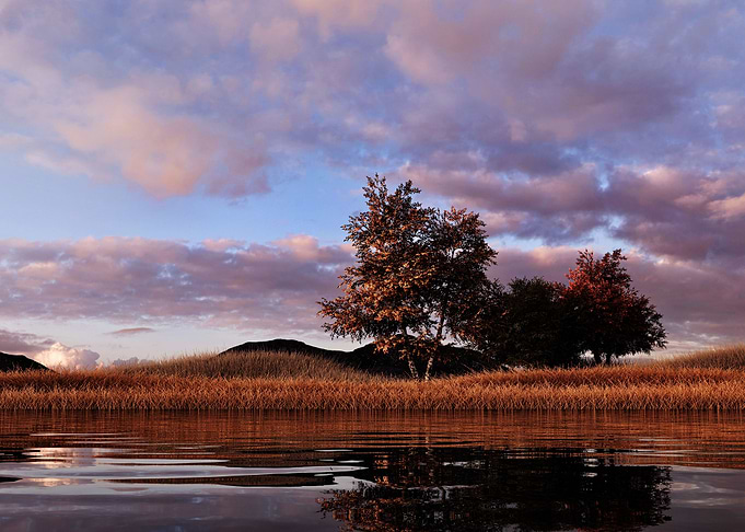 Grassland