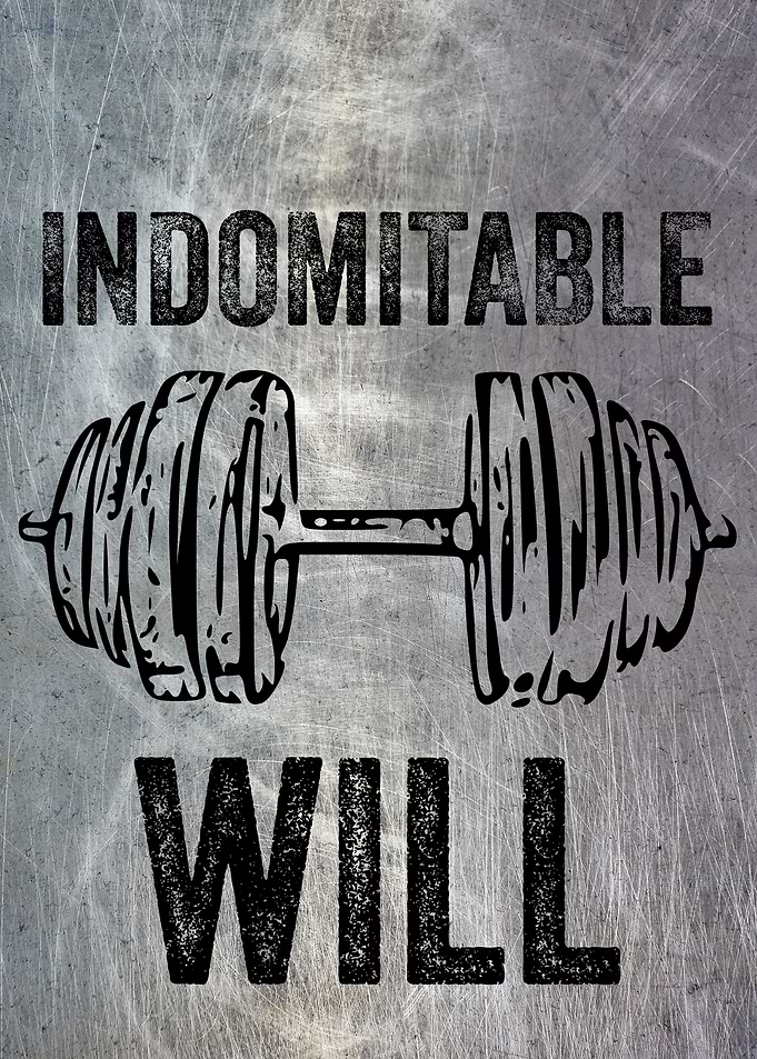 Indomitable WILL Exercise