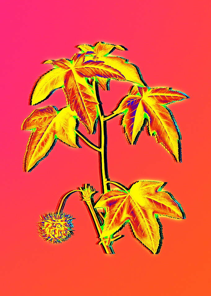 Neon Floral Illustration