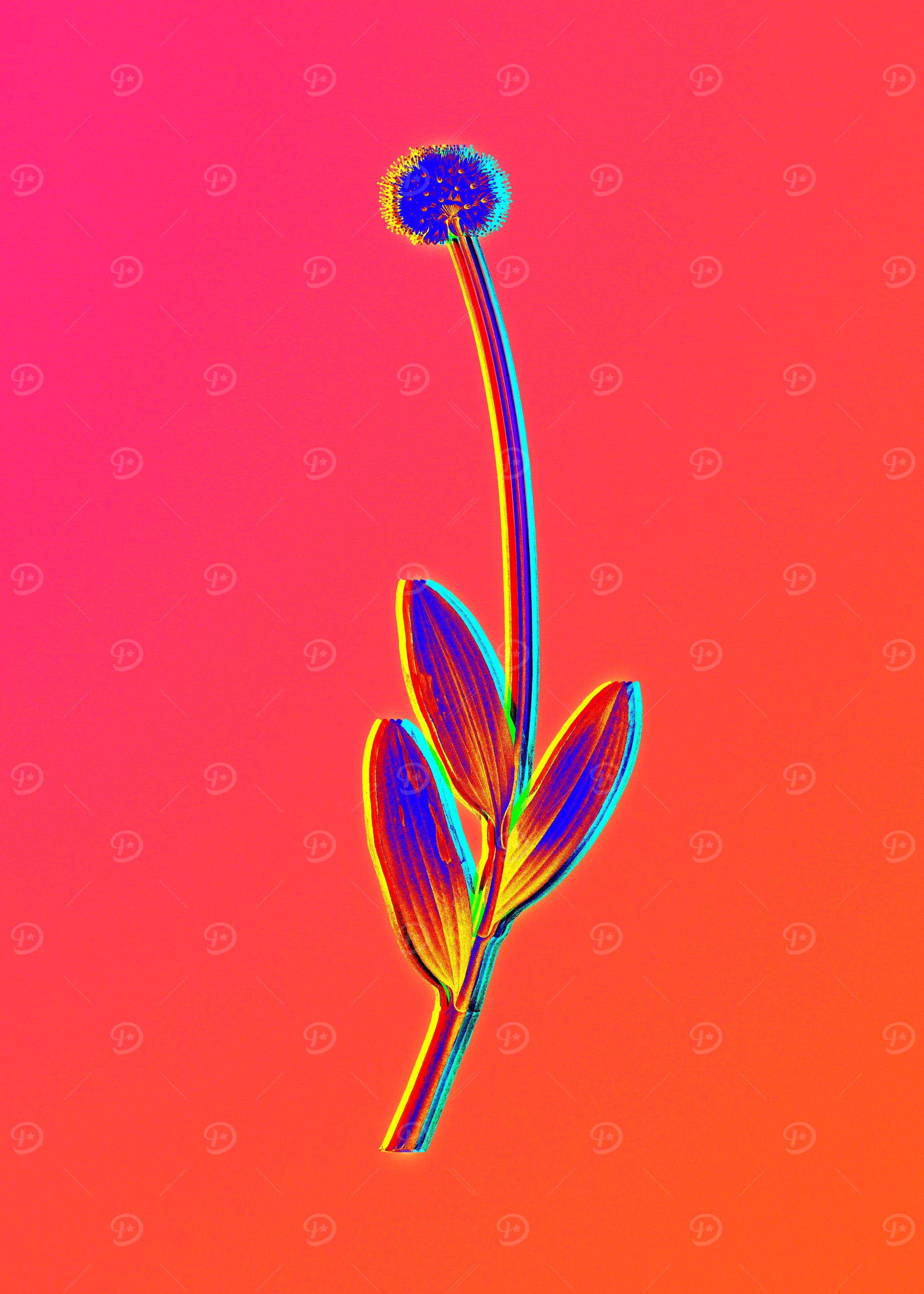 Neon Flora Illustration