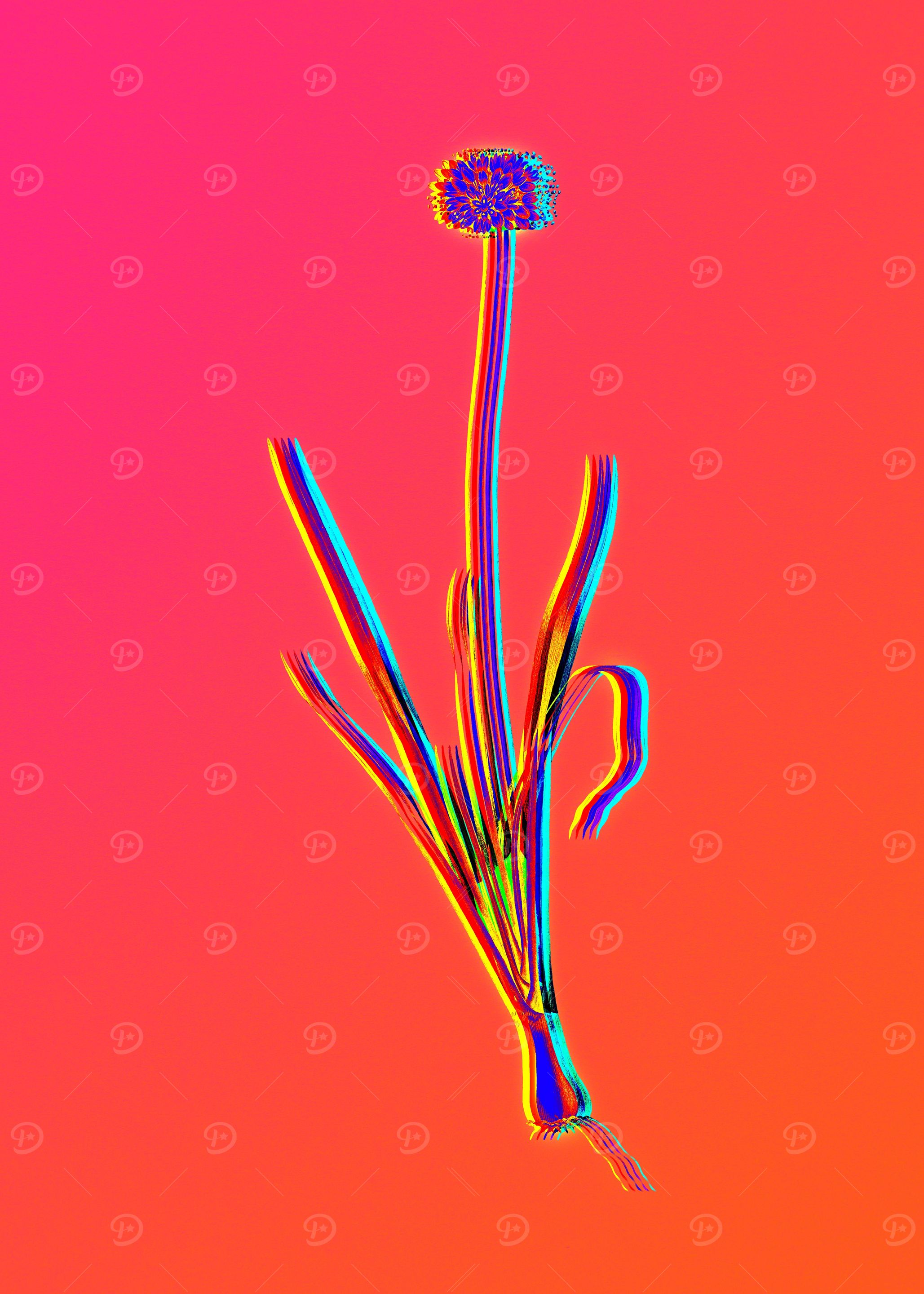 Hot Neon Pink Flowers