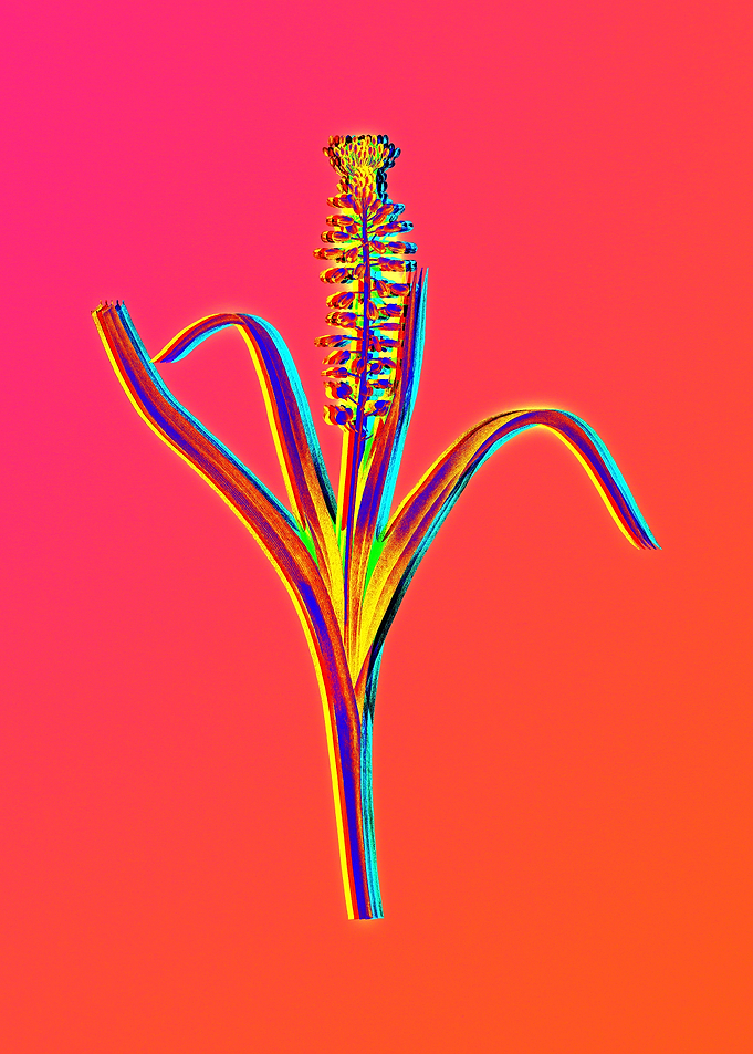Neon Floral Illustration