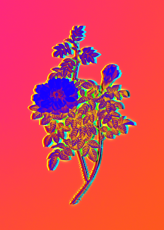 Neon Florals Illustration