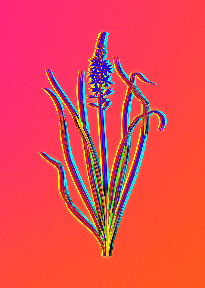 Neon Flowers Illustration