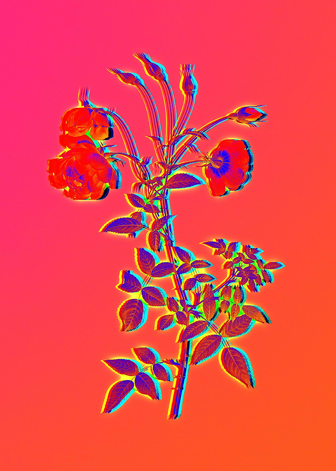 Neon Flowers Illustration