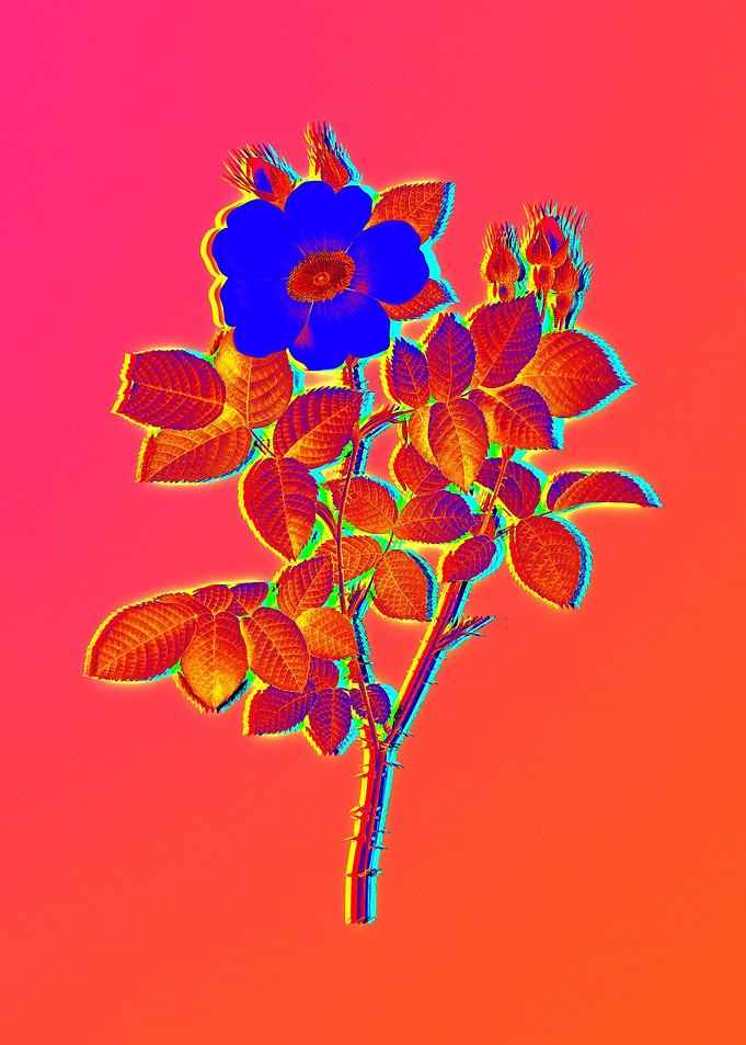 Pink Neon Rose Painting
