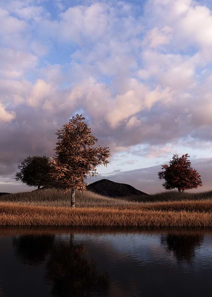 Grassland